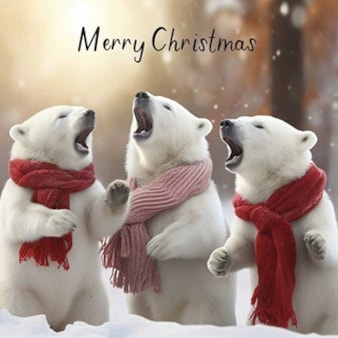 Christmas Card - Merry Christmas Polar Bears