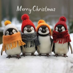 Christmas Card - Merry Christmas Penguins