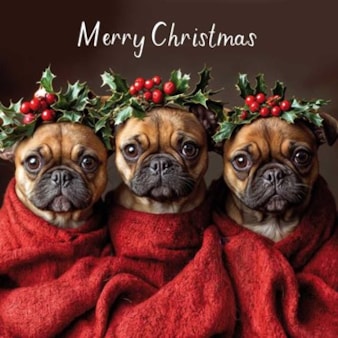 Christmas Card - Christmas French Bulldogs