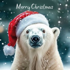 Christmas Card - Christmas Polar Bear Christmas Card - Christmas Polar Bear