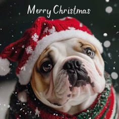 Christmas Card - Christmas Bulldog Christmas Card - Christmas Bulldog