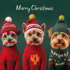 Christmas Card - Merry Christmas Yorkshire Terriers