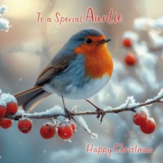 Auntie Christmas Card - Special Auntie Robin On Branch Auntie Christmas Card - Special Auntie Robin On Branch