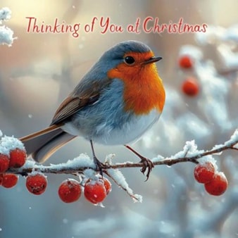 Christmas Card - Thinking Of You At Christmas Robin On Branch Christmas Card - Thinking Of You At Christmas Robin On Branch