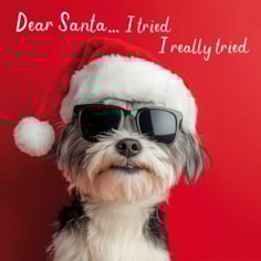 Christmas Card - Dear Santaâ€¦I Tried