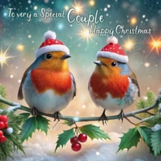 Christmas Card - Brother & Sister-in-Law Robins Christmas Card - Brother & Sister-in-Law Robins