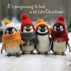 Christmas Card - Penguining To Look A Lot Like Christmas Christmas Card - Penguining To Look A Lot Like Christmas