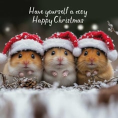 Christmas Card - Cosy Happy Christmas Christmas Card - Cosy Happy Christmas