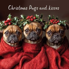 Christmas Card - Christmas Pugs and Kisses
