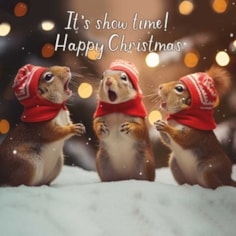 Christmas Card - It's Show Time! Happy Christmas Christmas Card - It's Show Time! Happy Christmas