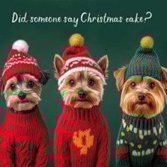 Christmas Card - Did Someone Say Christmas Cake? Christmas Card - Did Someone Say Christmas Cake?