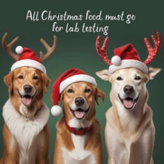 Christmas Card - All Christmas Food Must Go For Lab Testing