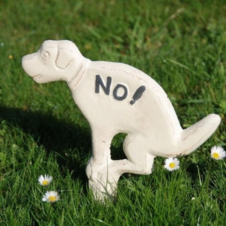 No Fouling Dog Sign No Fouling Dog Sign