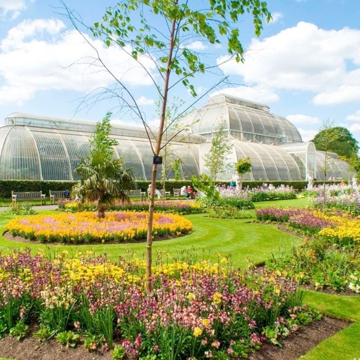 Visit to Kew Gardens with Cream Tea for 2 Visit to Kew Gardens with Cream Tea for Two