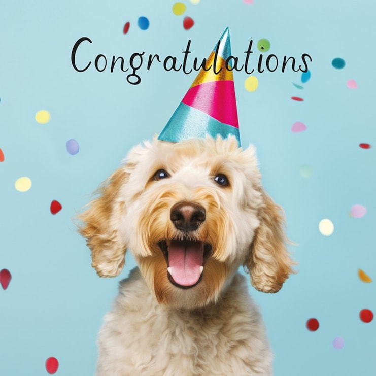 Large Congratulations Card - Dog Large Congratulations Card - Dog