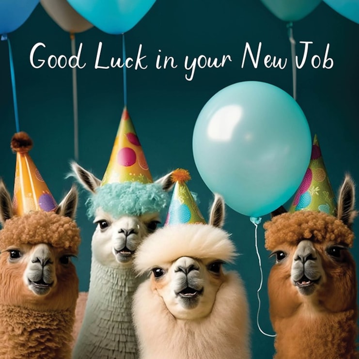 Large New Job Card - Llamas Large New Job Card - Llamas