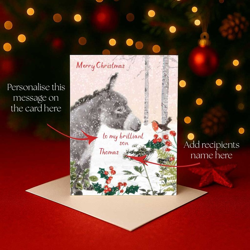 An image of Personalised Christmas Card - Donkey and Robin
