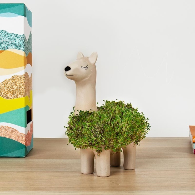 Llama Planter Llama Planter