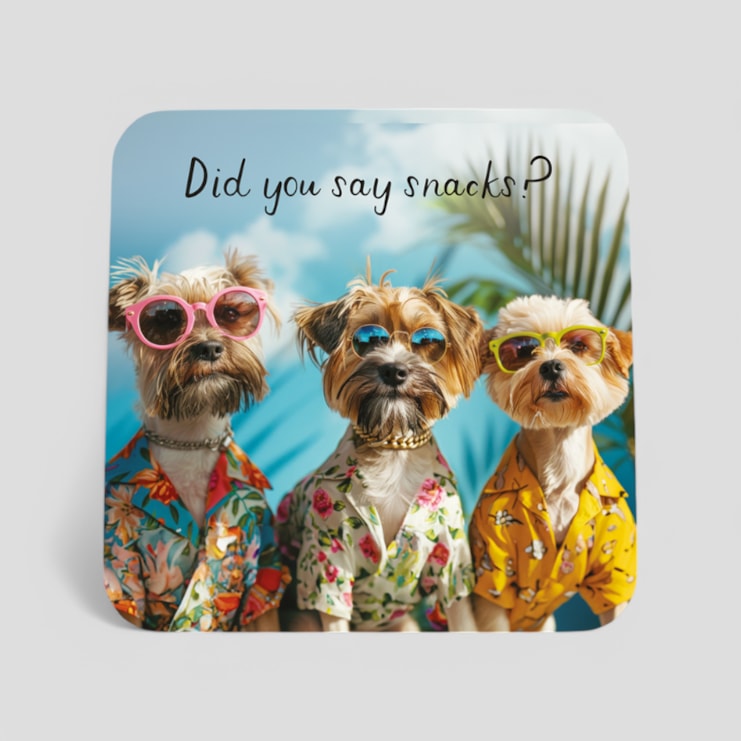 Drinks Coaster - Did You Say Snacks?