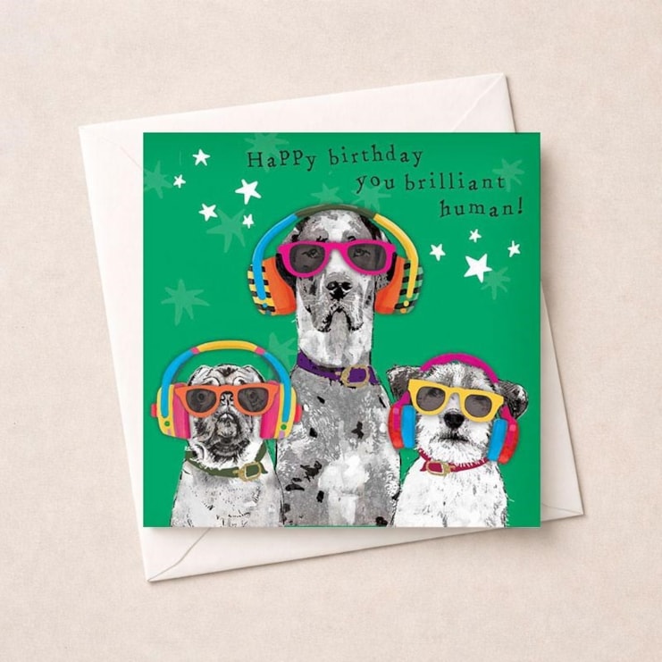Birthday Card - Happy Birthday Brilliant Human Birthday Card - Happy Birthday Brilliant Human