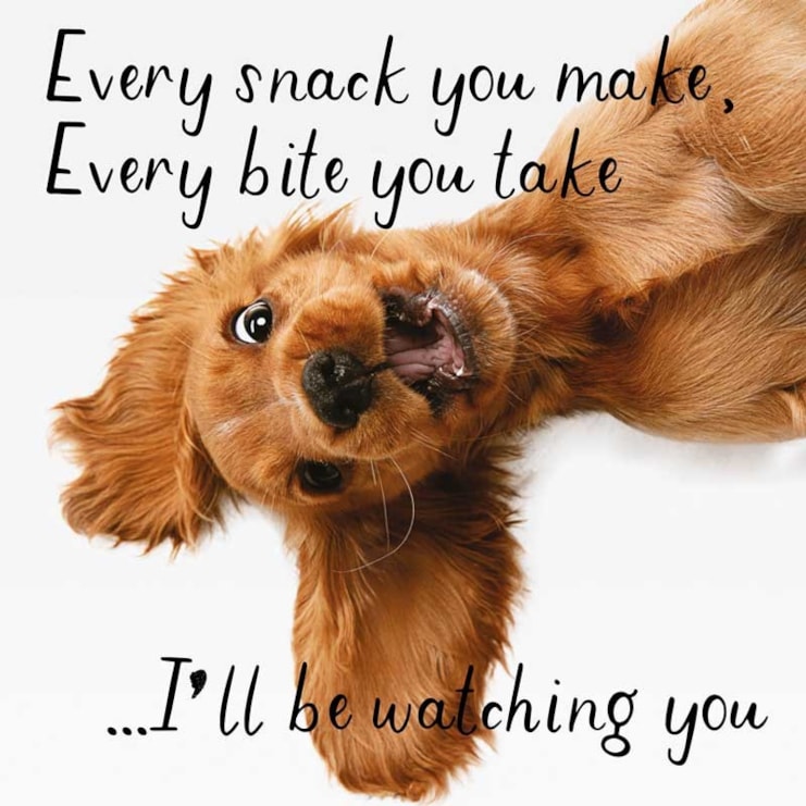 Humour Card - Watching You