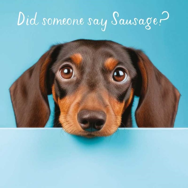 Open Card - Sausage Dog