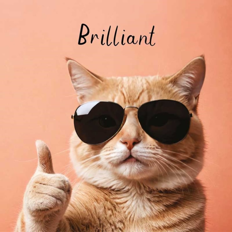 Open Card - Brilliant Cat