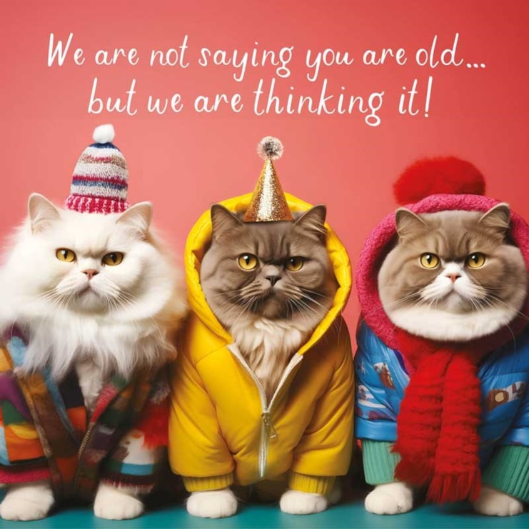 Birthday Card - Not Saying You Are Old Birthday Card - Not Saying You Are Old