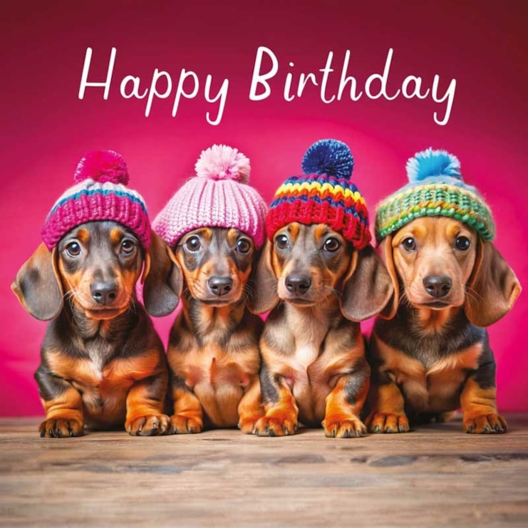 Birthday Card - Sausage Dogs Birthday Card - Sausage Dogs
