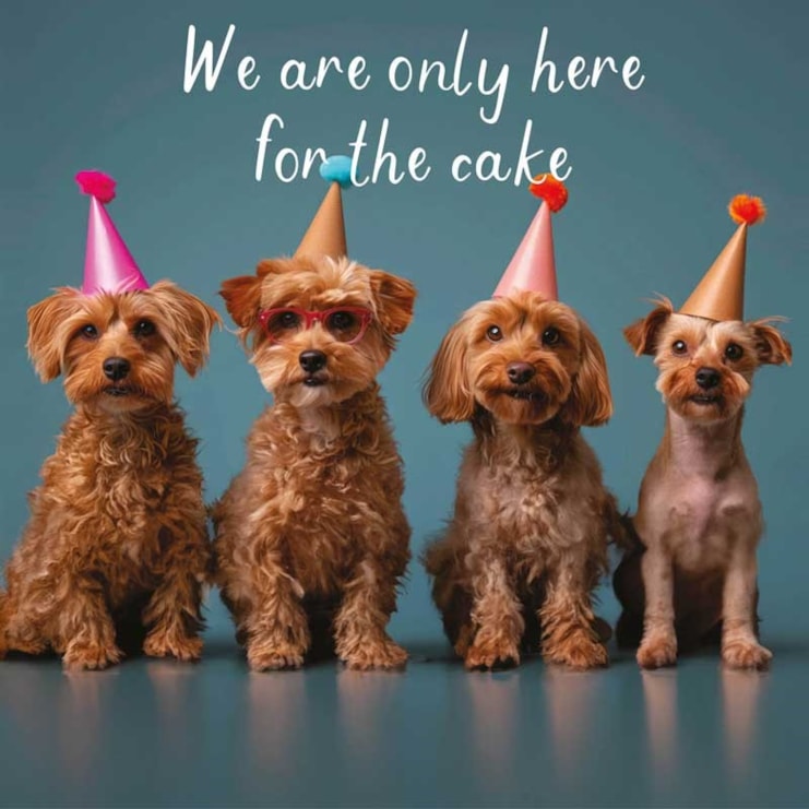 Birthday Card - Only Here For The Cake