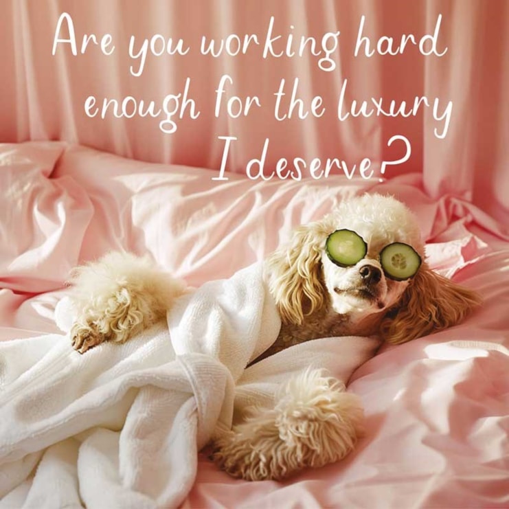 Open Card - Luxury I Deserve