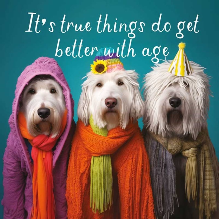 Birthday Card - Better With Age Birthday Card - Better With Age