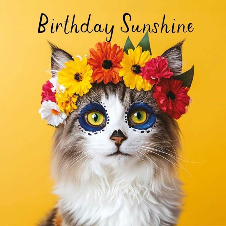 Birthday Card - Birthday Sunshine