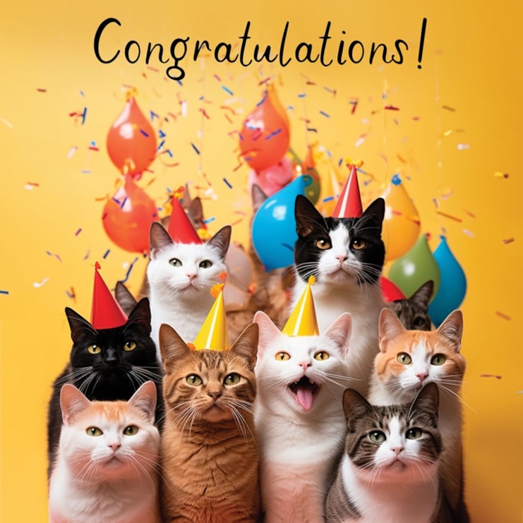 Congratulations Card - Party Cats