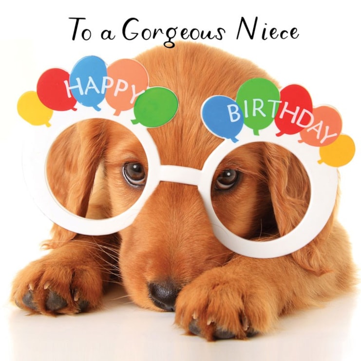 Niece Birthday Card - Sweet Puppy Niece Birthday Card - Sweet Puppy