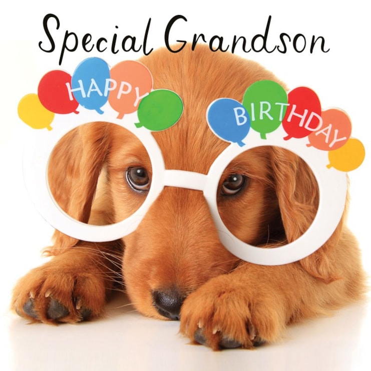 Grandson Birthday Card - Special Grandson Puppy Grandson Birthday Card - Special Grandson Puppy
