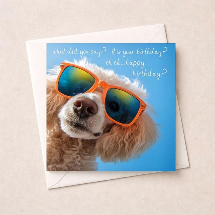 Birthday Card - What Did You Say? Birthday Card - What Did You Say?