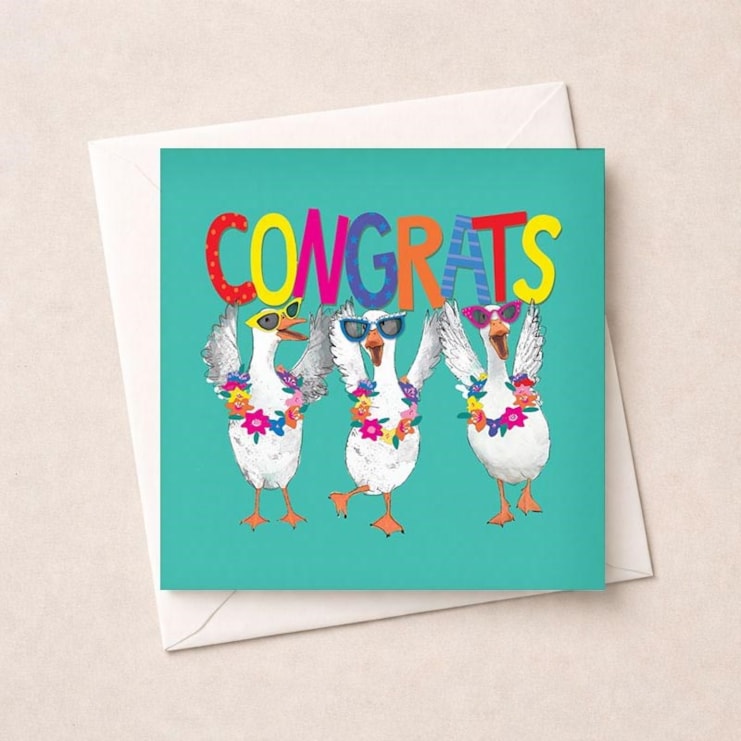 Congratulations Card - Congrats Geese Congratulations Card - Congrats Geese