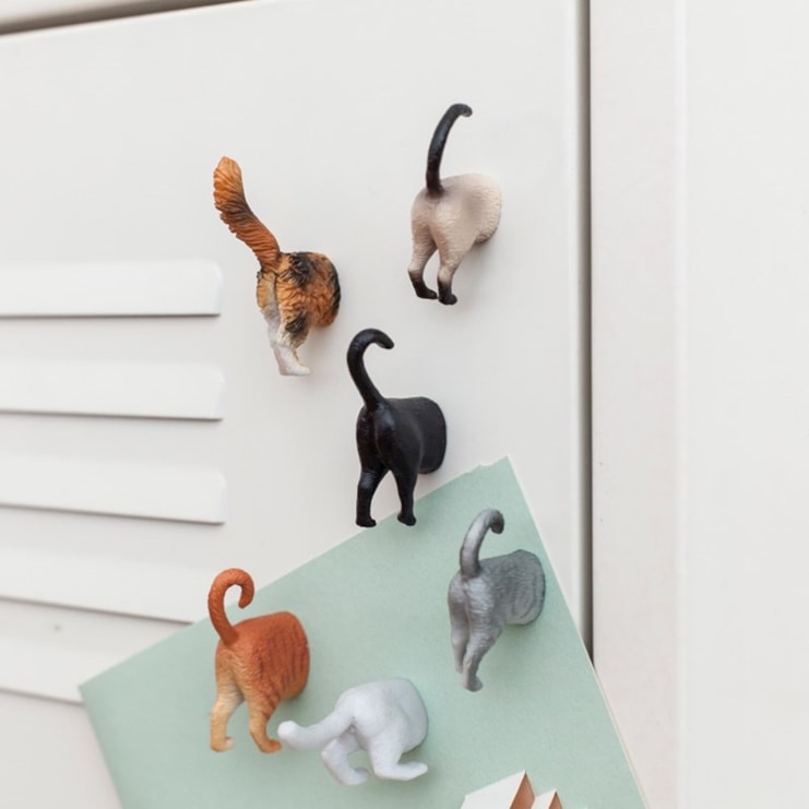 Cat Bum Magnets