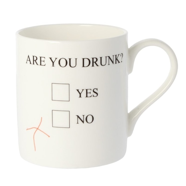 Are You Drunk Mug Are You Drunk Mug