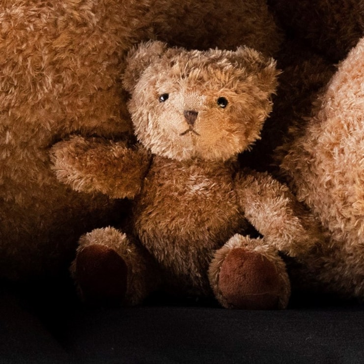 Albert The Teddy Bear Albert The Teddy Bear