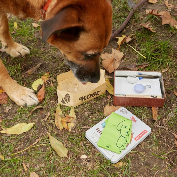 Dog Hiking Kit Dog Hiking Kit