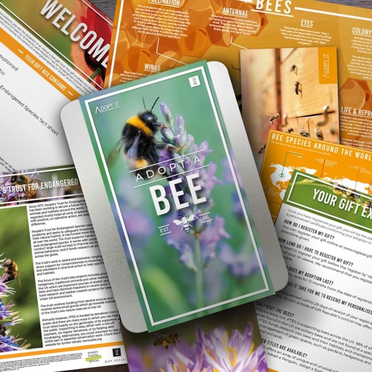 Adopt a Bee Adopt a Bee