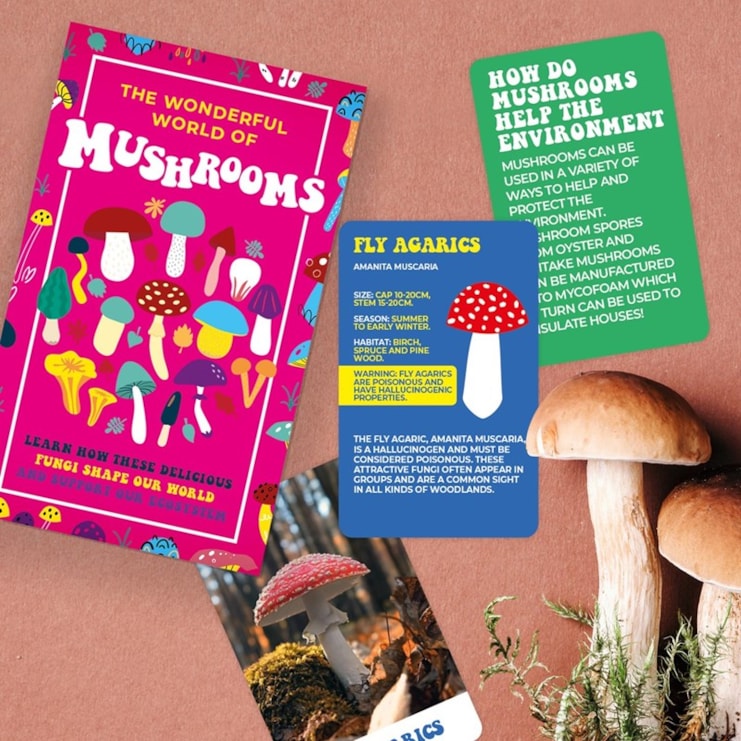The Wonderful World Of Mushrooms The Wonderful World Of Mushrooms