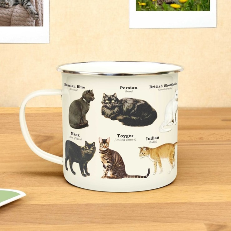 Cats Enamel Mug Cats Enamel Mug