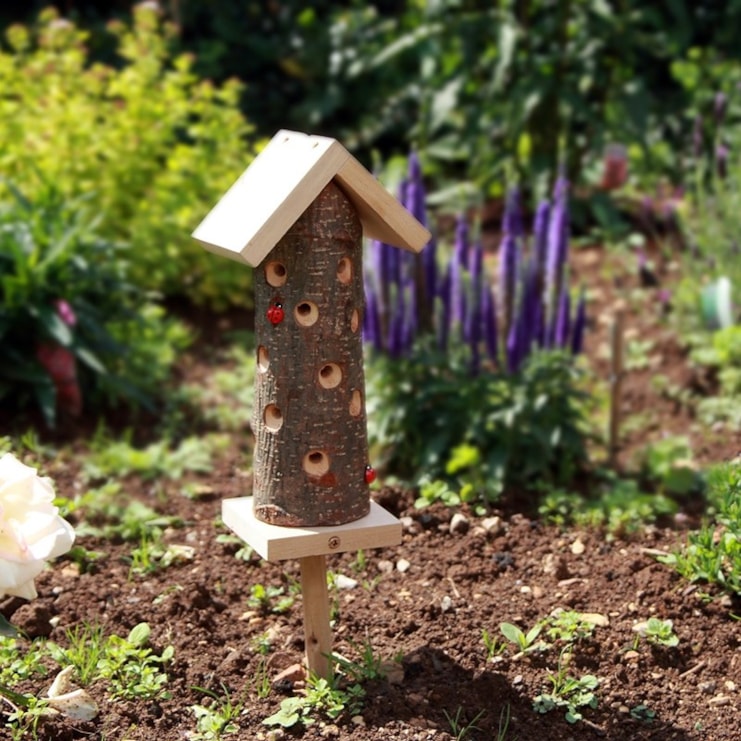 Ladybird Tower Ladybird Tower