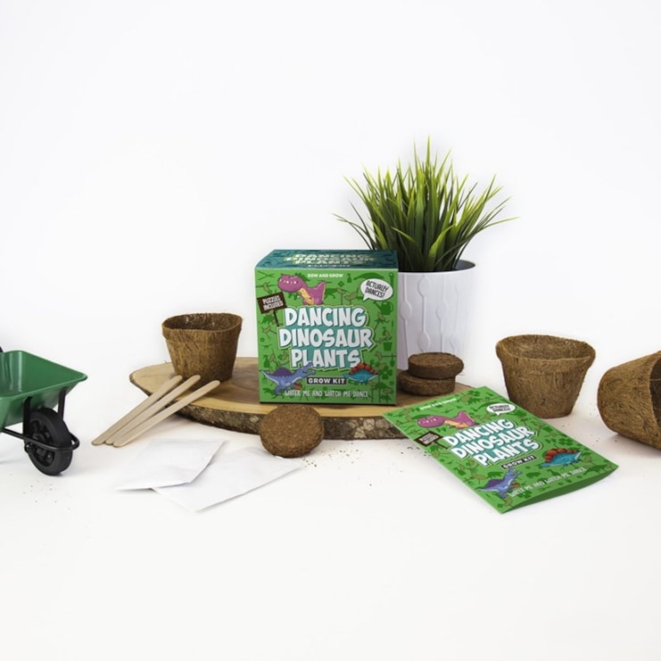 Dancing Dinosaur Plants Sow And Grow Dancing Dinosaur Plants Sow And Grow