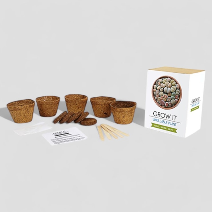 Snore Curing Grow It Kit Snore Curing Grow It Kit