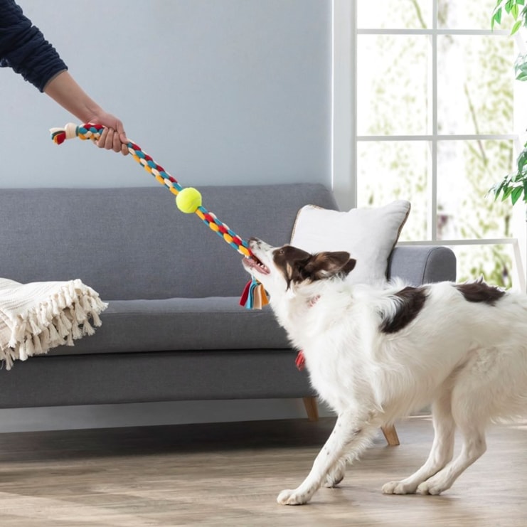 Make Your Own Dog Tug Toy Make Your Own Dog Tug Toy