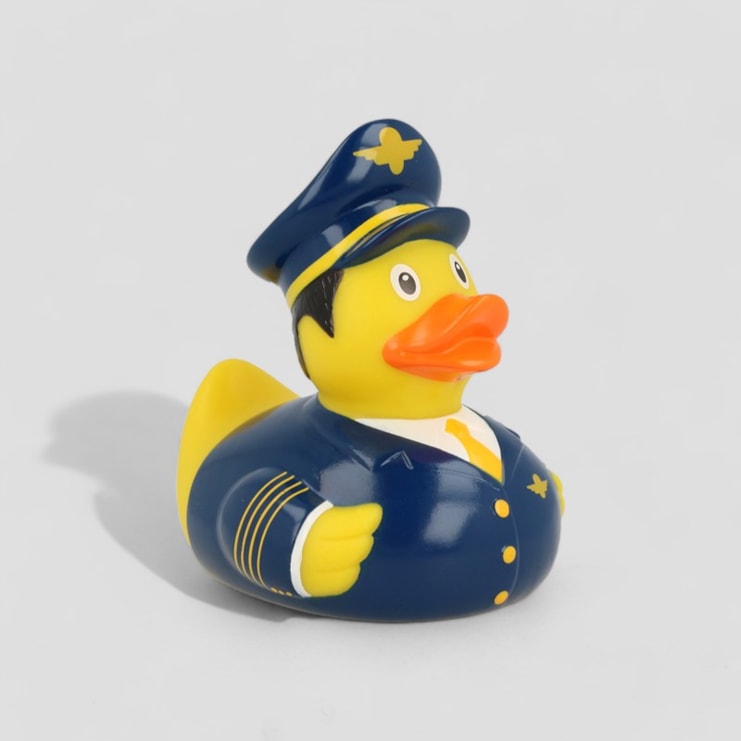 Pilot Duck